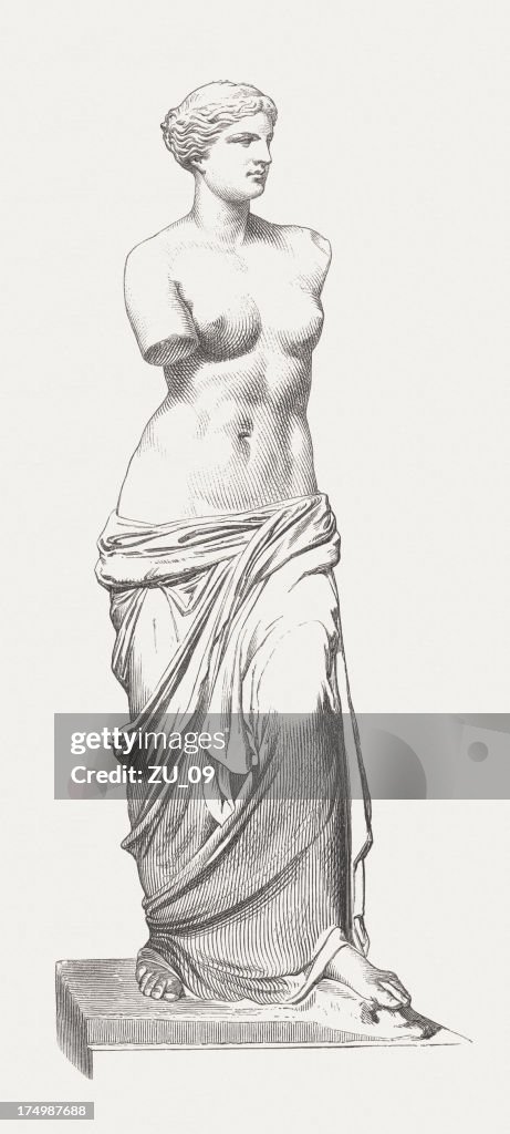 Full size drawing or sketch of the Venus de Milo statue