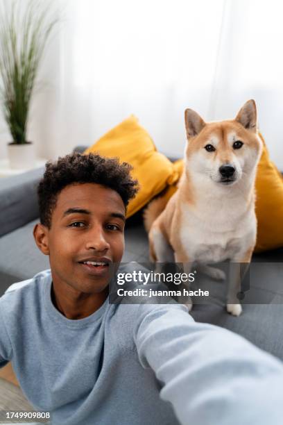 african american man taking selfie with shiba inu dog at home - cute shiba inu puppies stock pictures, royalty-free photos & images