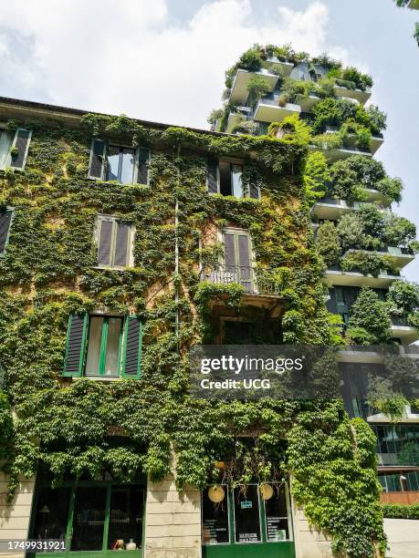 Italy, Milan, Isola area, Quartiere Isola, Bosco verticale.