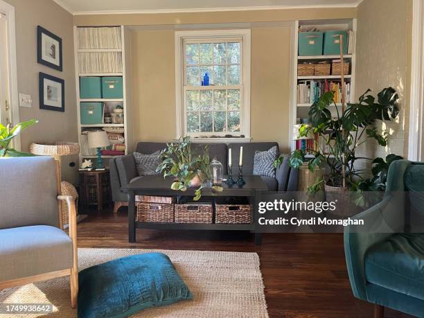 family living room with houseplants. a real home. - cluttered stock pictures, royalty-free photos & images
