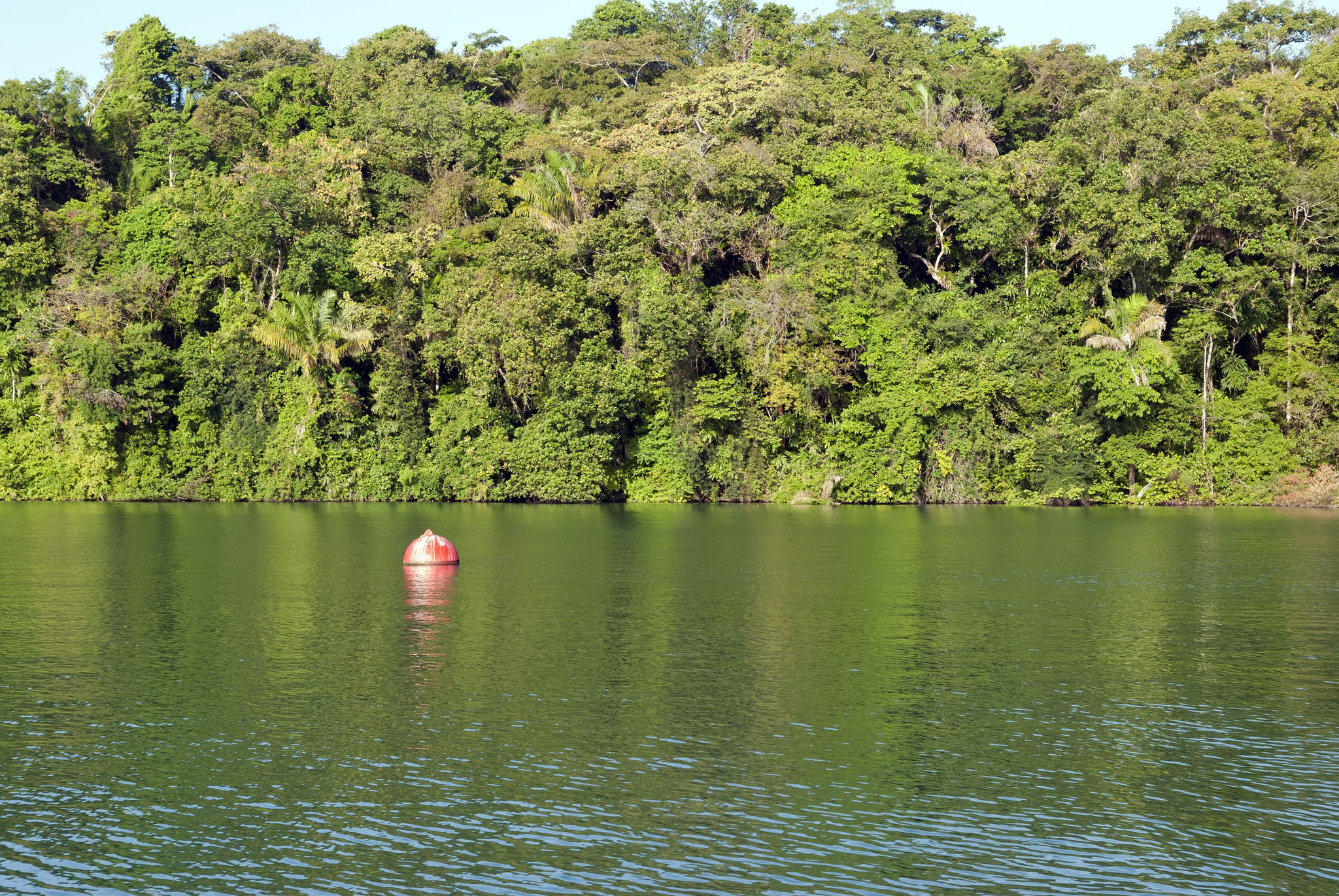Bouy on Gatun Lake Panama Canal Bouy on Gatun Lake Panama Canal