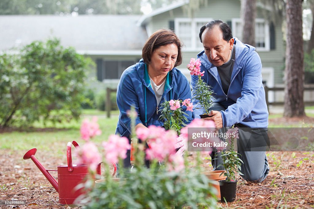 Hispanic couple gardening