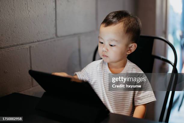 young boy playing digital tablet in cafe - alpha males stock pictures, royalty-free photos & images