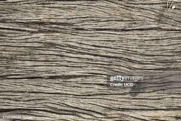 Detail of an old railway sleeper. Wooden railway sleepers are the most widespread type worldwide and in the past were almost exclusive. Contrary to...