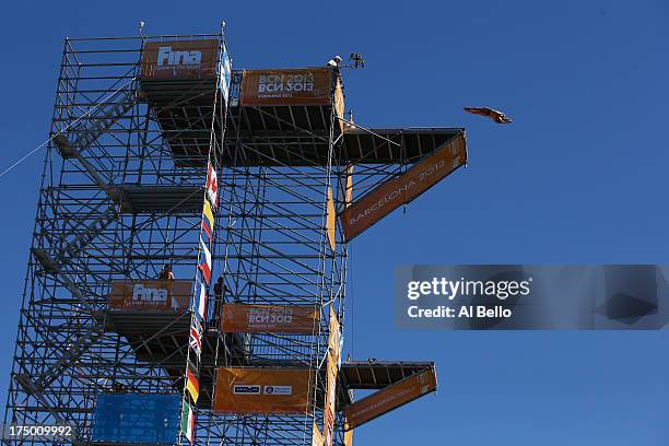 Kris Kolanus of Poland competes during the Men's 27m High Diving on day ten of the 15th FINA World Championships at Moll de la Fusta on July 29, 2013...