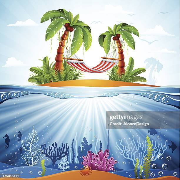 palm tress with hammock - hammock stock illustrations