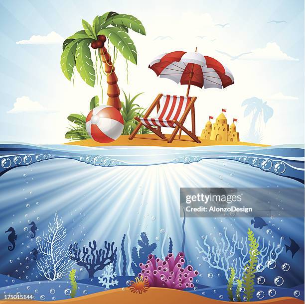 tropical island and underwater scene - algae stock illustrations