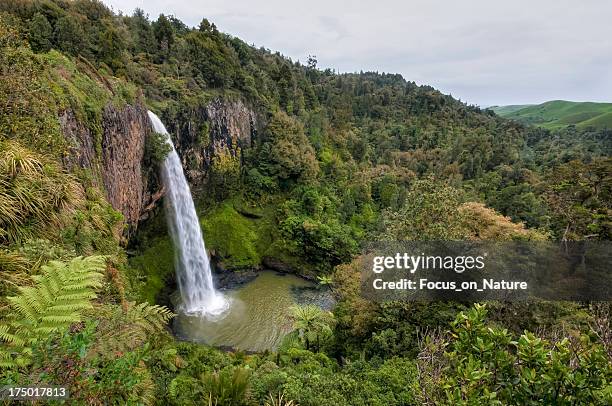 bridal-veil-wasserfall, neuseeland - hamilton neuseeland stock-fotos und bilder