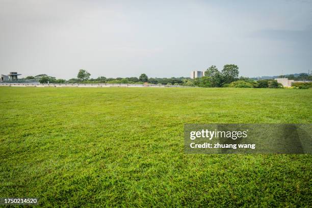 singapore grassland and cityscape at sunrise - grass lawn stock pictures, royalty-free photos & images