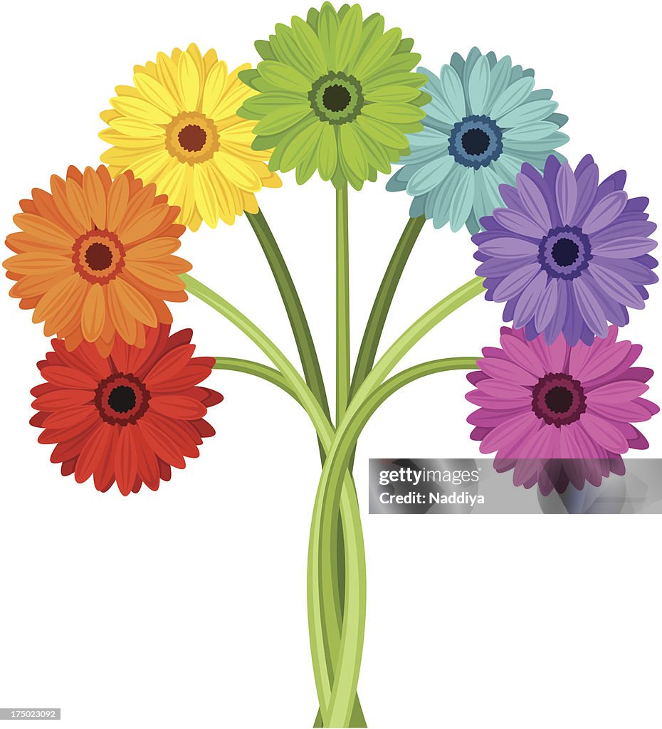 Ramo De Flores Gerbera Colorido Ilustración Vectorial Ilustración de stock  - Getty Images