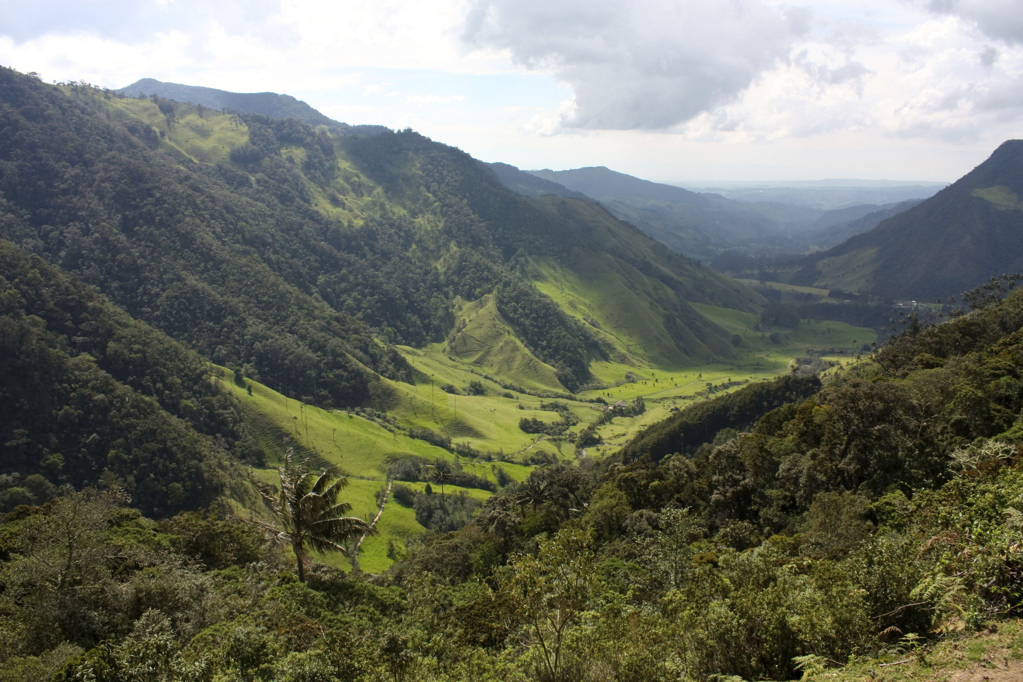 coffee regions