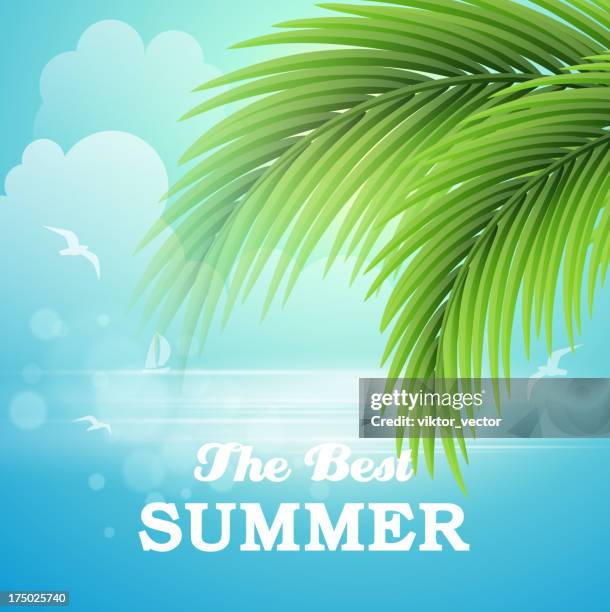 311 Summer Studio Background High Res Vector Graphics - Getty Images