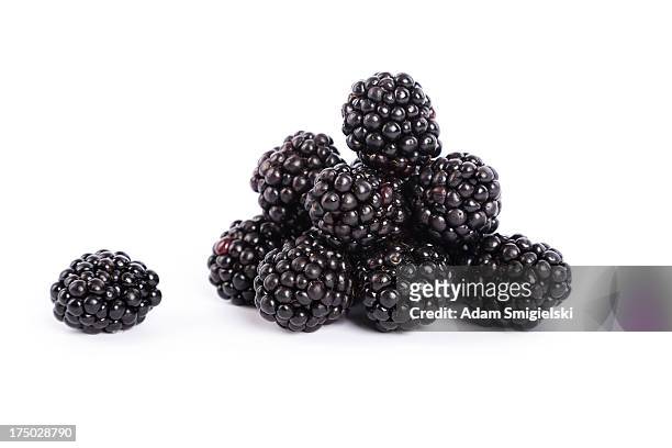more - blackberry foto e immagini stock