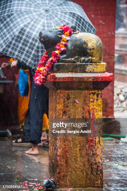 nandi bull with flower garland - bull statue stock pictures, royalty-free photos & images