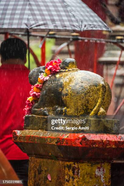 nandi bull with flower garland - bull statue stock pictures, royalty-free photos & images