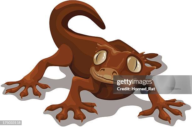 gecko - gecko stock illustrations