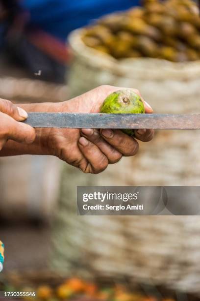 slicing a green hog plum at bangladeshi market - spondias mombin stock pictures, royalty-free photos & images