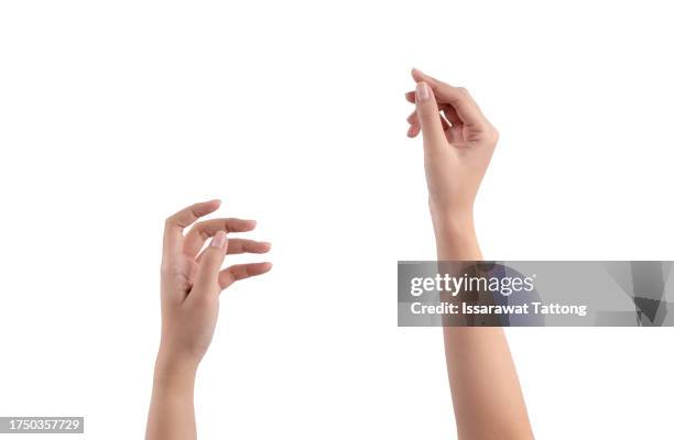 two hands are hold something isolated on white background - handen stockfoto's en -beelden