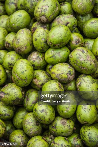 green hog plums on sale at bangladeshi market - spondias mombin stock pictures, royalty-free photos & images