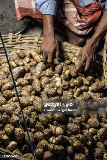 taro roots on sale at bangladeshi market - taro stock pictures, royalty-free photos & images