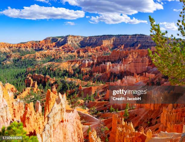 parc national de bryce canyon - bryce canyon photos et images de collection