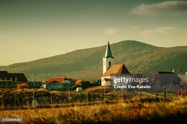 autumn mood - hungary stock pictures, royalty-free photos & images
