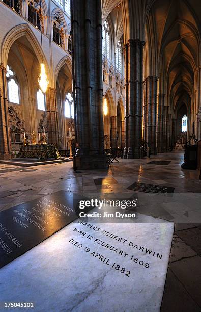 The floor tomb of naturalist Charles Darwin in the nave of Westminster Abbey on November 29, 2012 in London, England. Dead Famous London is a journey...