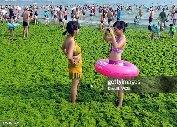 Tourists take photos on a beach covered by a thick layer of green algae on July 3, 2013 in Qingdao, China. A large quantity of non-poisonous green...