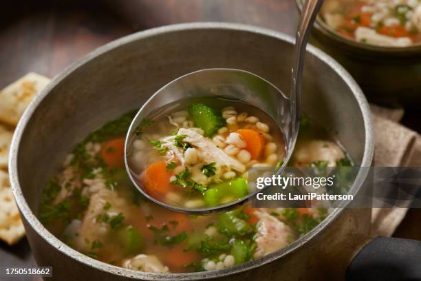 chicken and barley vegetable soup - barley stock pictures, royalty-free photos & images