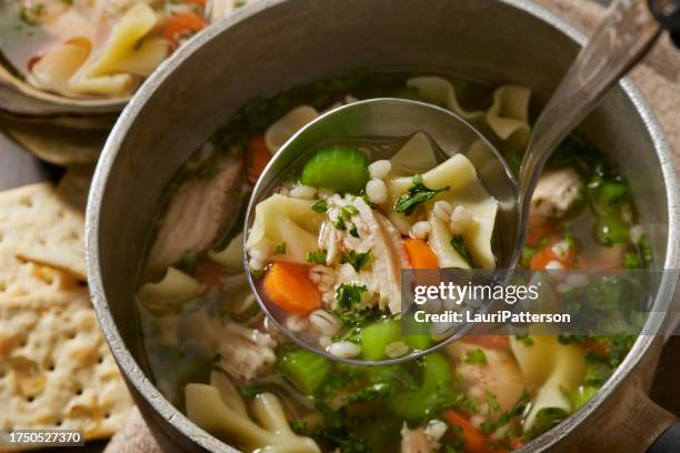sopa de fideos con verduras y pollo y cebada - sopa de pollo con fideos fotografías e imágenes de stock