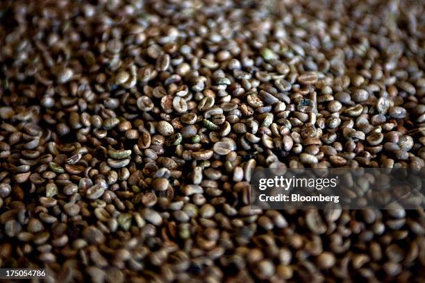 Harvested coffee sit in a storage area at the Japy grain house and silo complex belonging to the Cooxupe cooperative in the Minas Gerais state in...