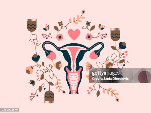 ilustrações de stock, clip art, desenhos animados e ícones de illustration of uterus with flowers isolated on background - sistema reprodutor feminino