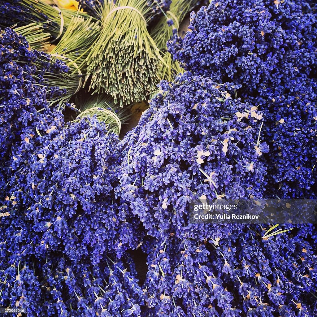 Bunches od dried lavender