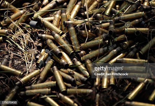 79 Bullet Casings On Ground Stock Photos, High-Res Pictures, and