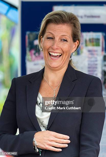 Sophie Rhys-Jones, Countess of Wessex visits the New Forest and Hampshire county show at The Showground, New Park on July 31, 2013 in Brockenhurst,...