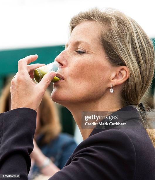 Sophie Rhys-Jones, Countess of Wessex tries a Watercress smoothie during her visit to the New Forest and Hampshire county show at The Showground, New...