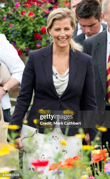 Sophie Rhys-Jones, Countess of Wessex looks at a wild meadow of flowers during her visit to the New Forest and Hampshire county show at The...