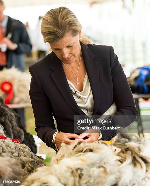 Sophie Rhys-Jones, Countess of Wessex studies some sheep fleeces during her visit to the New Forest and Hampshire county show at The Showground, New...