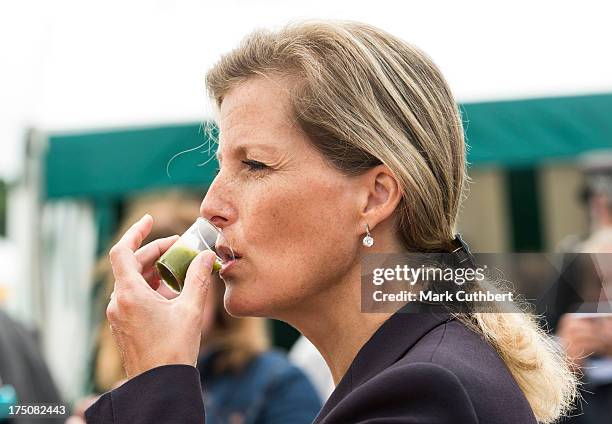 Sophie Rhys-Jones, Countess of Wessex tries a Watercress smoothie during her visit to the New Forest and Hampshire county show at The Showground, New...