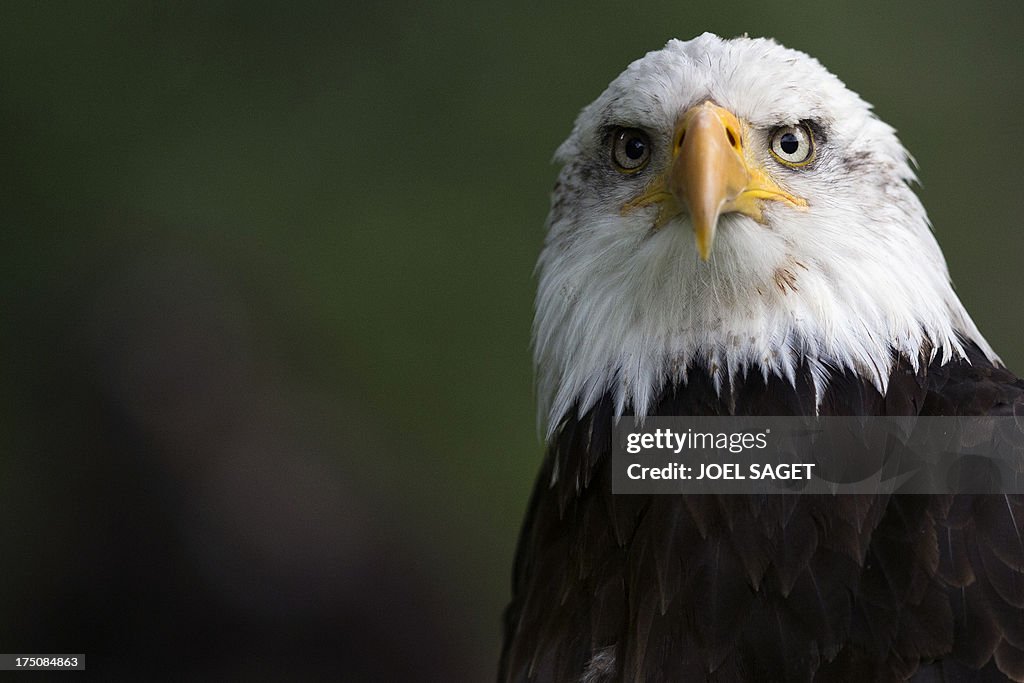 FRANCE-ANIMALS-ENVIRONMENT-FEATURE