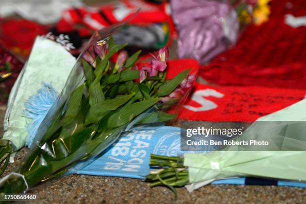 Floral tributes are laid in memory of Sir Bobby Charlton outside Old Trafford, Manchester, his family announced Sir Bobby Charlton's death aged 86,...