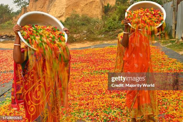 Worker dry "Finger Fryums", which is a finger shaped food made from seasoned dough. Agartala. Tripura, India.