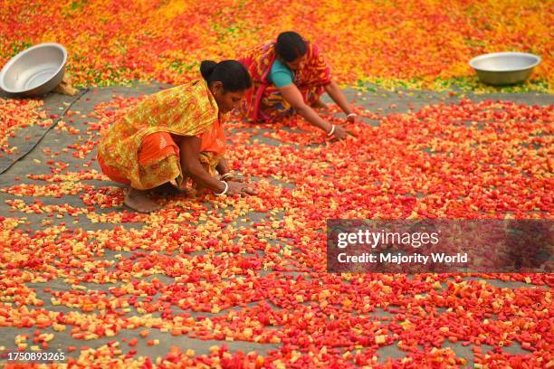 Worker dry "Finger Fryums", which is a finger shaped food made from seasoned dough. Agartala. Tripura, India.