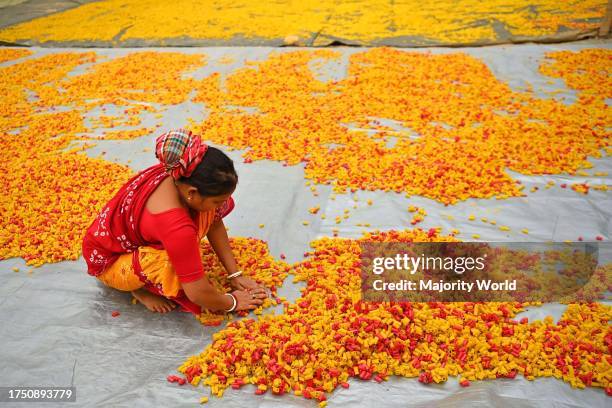 Worker dry "Finger Fryums", which is a finger shaped food made from seasoned dough. Agartala. Tripura, India.