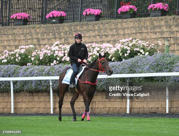 James McDonald riding Cox Plate favourite Romantic Warrior after a gallop at Moonee Valley Racecourse on October 23, 2023 in Melbourne, Australia.
