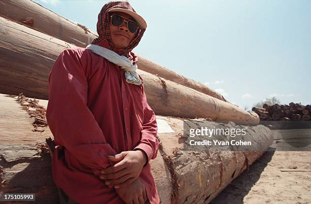 Cambodian man wearing sunglasses leans against some freshly cut logs piled up ready for transportation. Illegal logging is a major problem in...