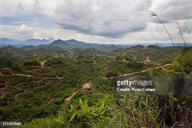 View showing the massive and destructive deforestation of the mountainous terrain in the Limbang area of Sarawak, Borneo. Once covered with pristine...