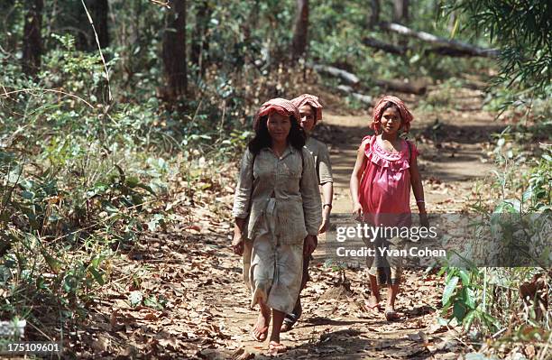 Two Phnong women walking down a forest path on their way back from working in the fields..