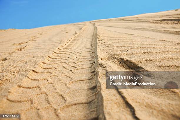 autospuren auf sand - autoreifen natur stock-fotos und bilder