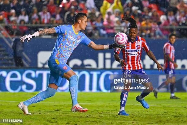 Raul Gudino, goalkeeper of Necaxa, controls the ball during the 13th round match between Atletico San Luis and Necaxa as part of the Torneo Apertura...